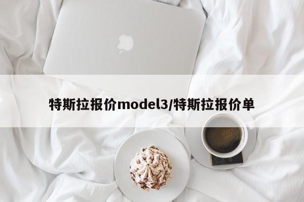 特斯拉报价model3/特斯拉报价单