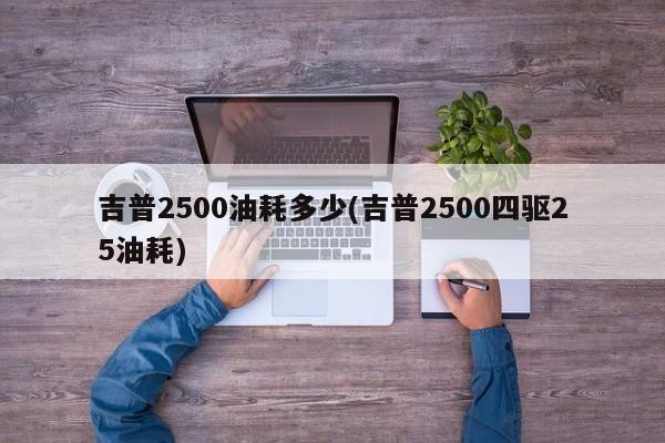 吉普2500油耗多少(吉普2500四驱25油耗)