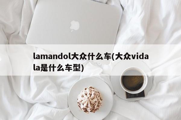 lamandol大众什么车(大众vidala是什么车型)