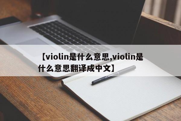 【violin是什么意思,violin是什么意思翻译成中文】